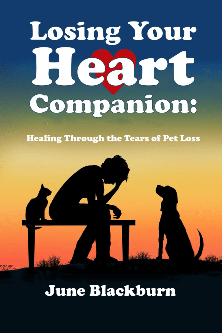 book losing your heart companion